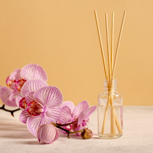 Arrangement With Items Therapy 1