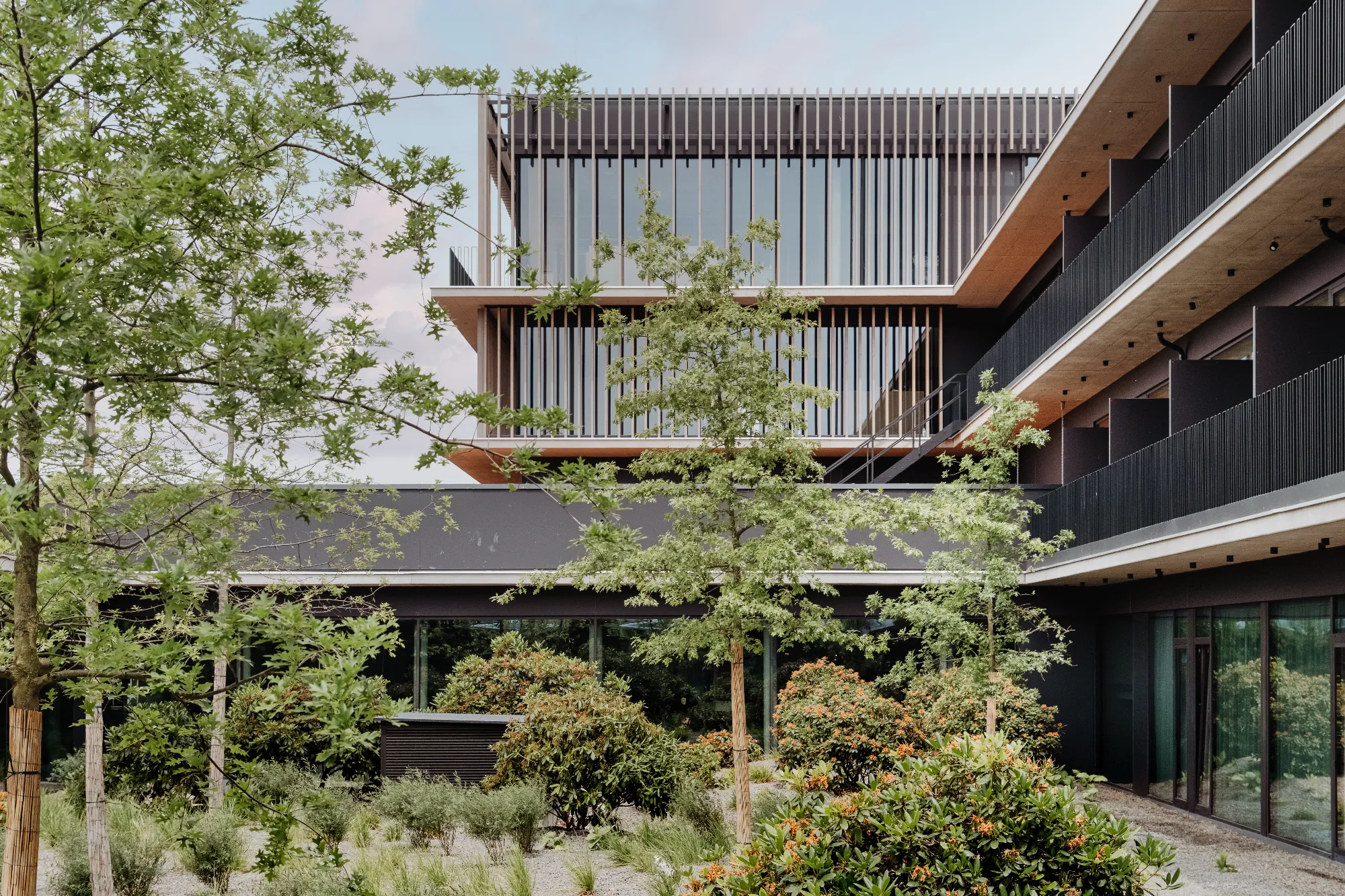 Ciho-Loxone-4 Ciho Loxone 4